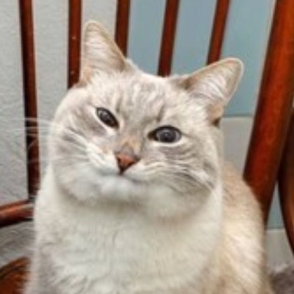 Meet your Posher, L - Picture 1 of 1